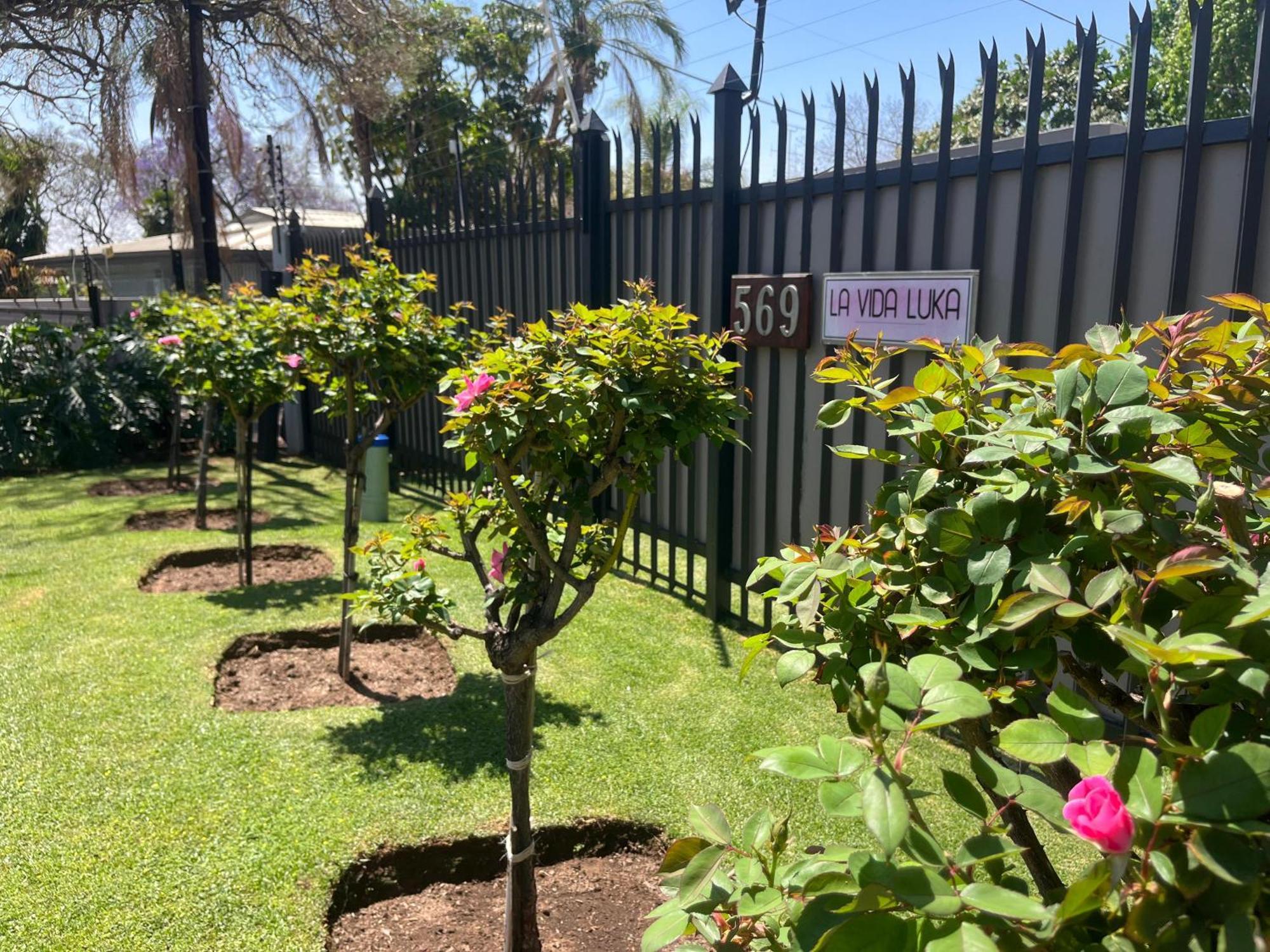 La Vida Luka - Luxury Guesthouse Pretoria-Noord Zewnętrze zdjęcie