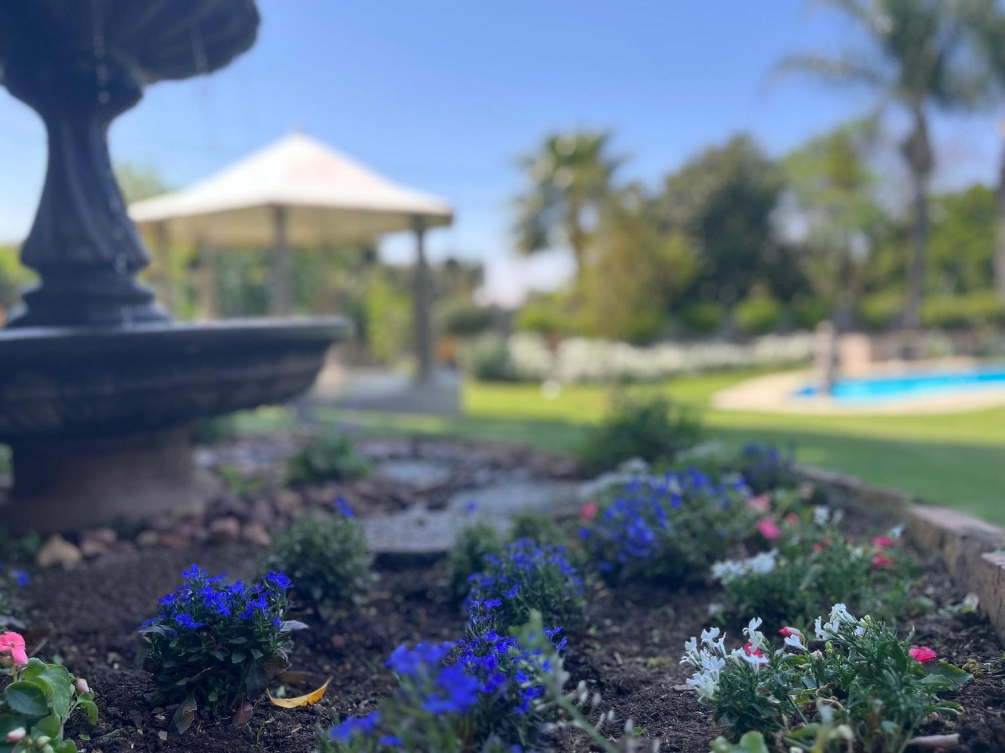 La Vida Luka - Luxury Guesthouse Pretoria-Noord Zewnętrze zdjęcie